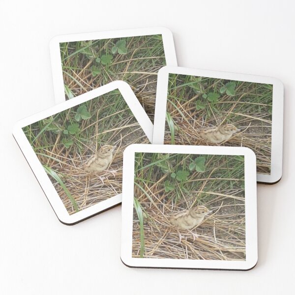 Item preview, Pheasant Chick designed and sold by AbnormalLoad.