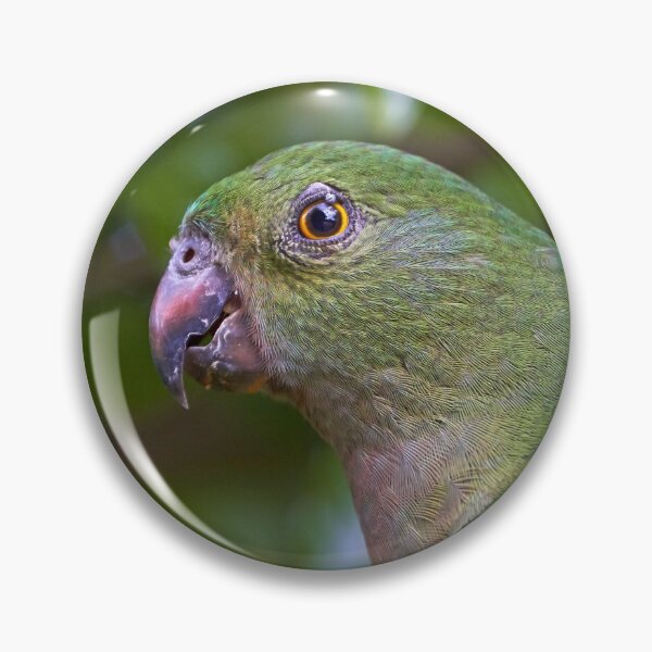 Item preview, King Parrot (female) designed and sold by Robert Elliott.