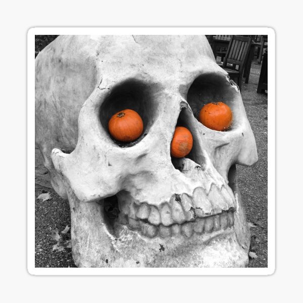 Skull with pumpkins Sticker