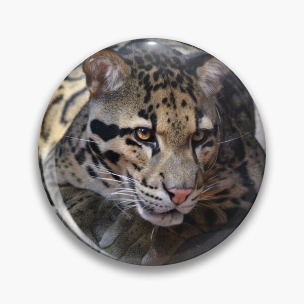 Item preview, Clouded Leopard designed and sold by Savannah Gibbs.