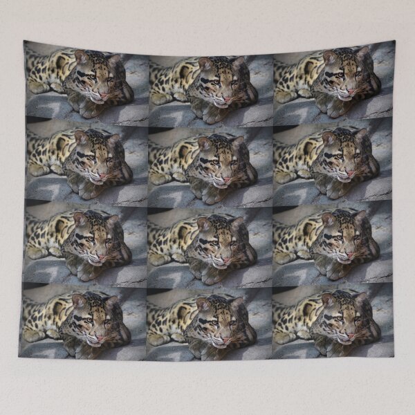 Item preview, Clouded Leopard designed and sold by Savannah Gibbs.