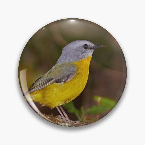 Item preview, Eastern Yellow Robin designed and sold by Robert Elliott.