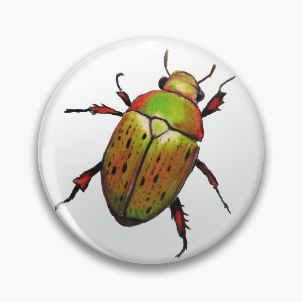 Item preview, Australian Christmas Beetle (Anoplognathus suturalis) designed and sold by Mary Traverse.