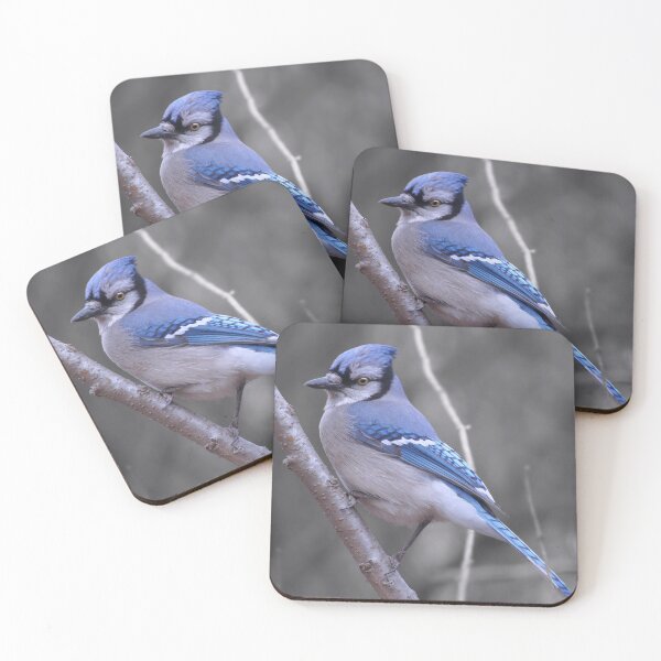Item preview, Bluejay designed and sold by cherylorraine.