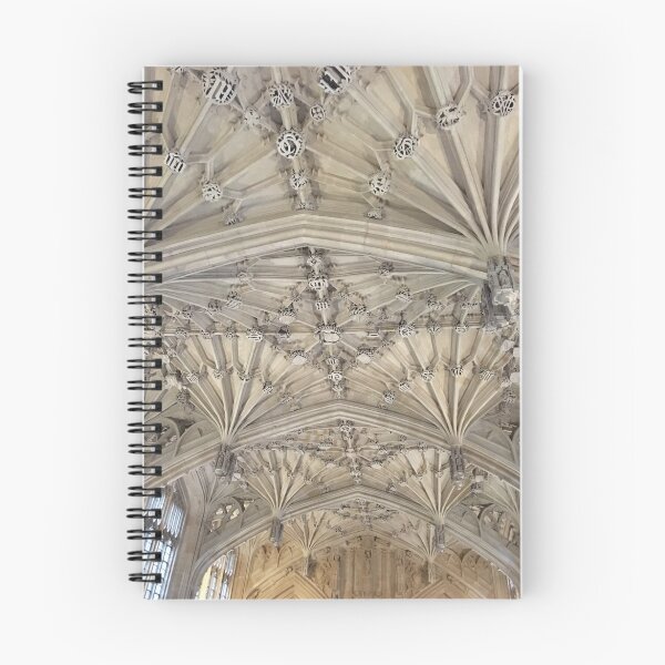 Aperçu de l'œuvre Bodleian Library School of Divinity créée et vendue par Robert Steadman.