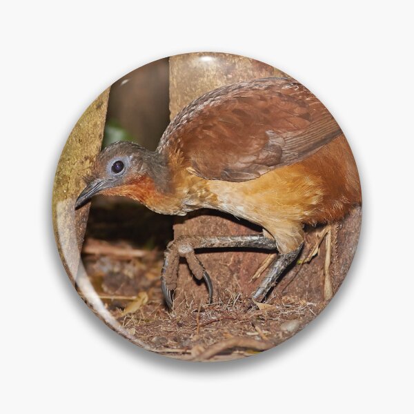 Item preview, Albert's Lyrebird designed and sold by Robert Elliott.