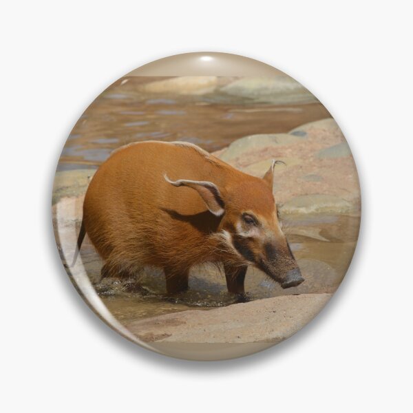 Item preview, Red River Hog designed and sold by Savannah Gibbs.