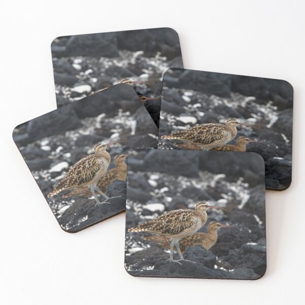 Item preview, Bristle-thighed Curlew designed and sold by photosbypamela.