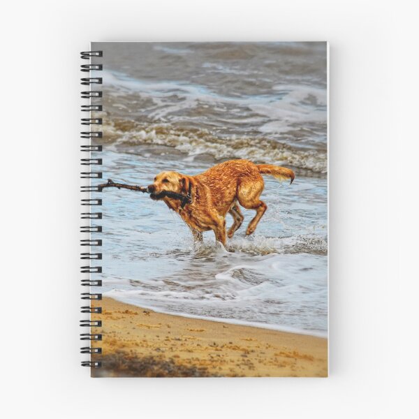 Item preview, Wet Dog designed and sold by Photography & Emotive Ai.