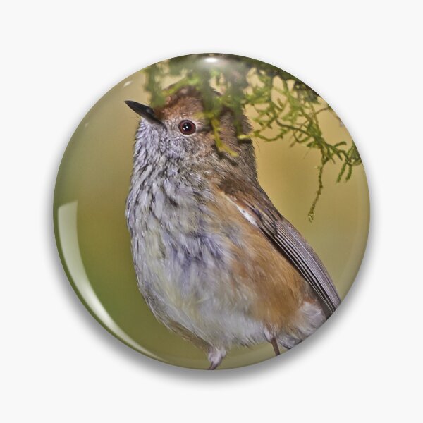 Item preview, Brown Thornbill designed and sold by Robert Elliott.