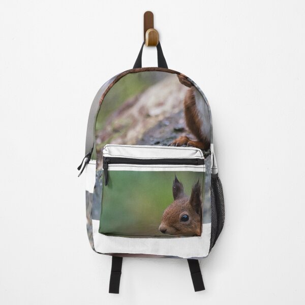 Item preview, Red Squirrel designed and sold by RobinDHunter.
