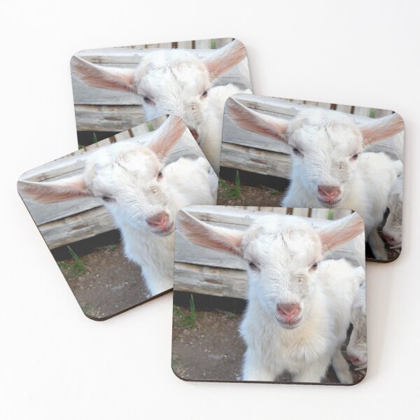 Item preview, newborn what baby goat designed and sold by Stephanie  Skeem.