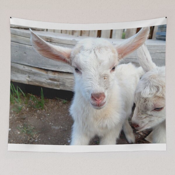 Item preview, newborn what baby goat designed and sold by Stephanie  Skeem.