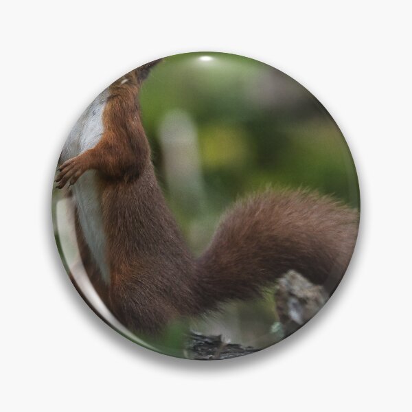 Item preview, Red Squirrel designed and sold by RobinDHunter.