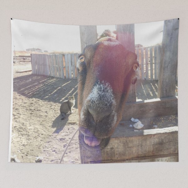 Item preview, goat sticking out its tongue and a happy farm cat designed and sold by Stephanie  Skeem.
