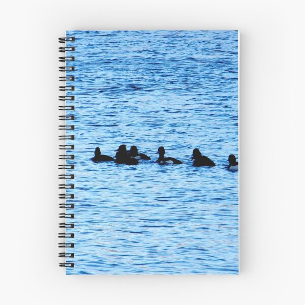 Item preview, Ducklings designed and sold by Robert Steadman.