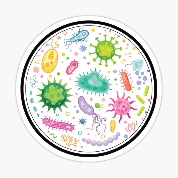 bacterial culture in microbiology Sticker