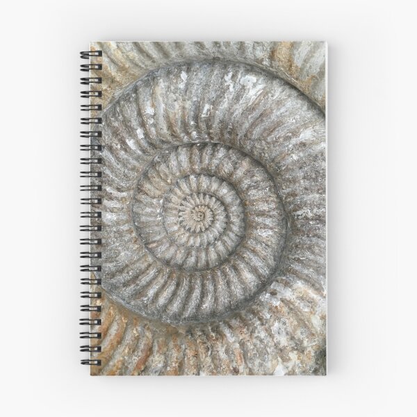 Item preview, Amonita designed and sold by Robert Steadman.