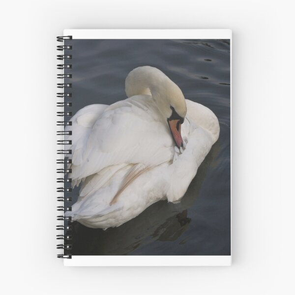Item preview, Swan Preening designed and sold by jalfc46.