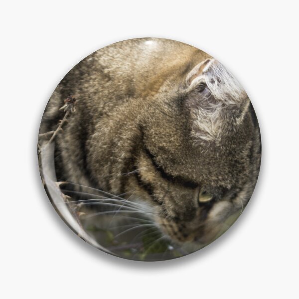 Item preview, cat portrait designed and sold by devil0035.