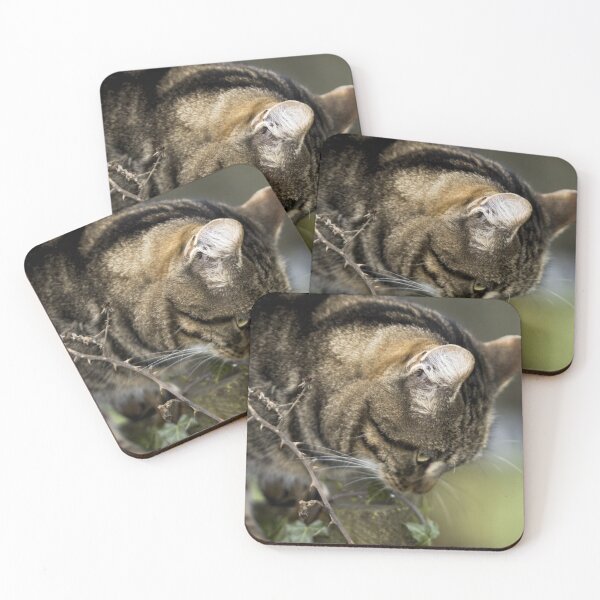 Item preview, cat portrait designed and sold by devil0035.