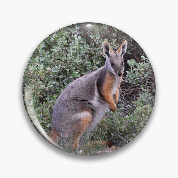 Item preview, Yellow Footed Rock Wallaby designed and sold by lhowden.
