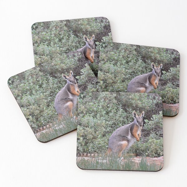 Item preview, Yellow Footed Rock Wallaby designed and sold by lhowden.