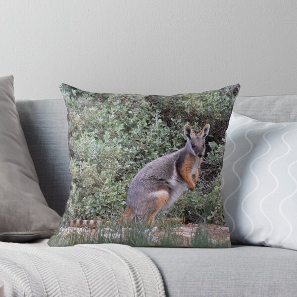 Item preview, Yellow Footed Rock Wallaby designed and sold by lhowden.