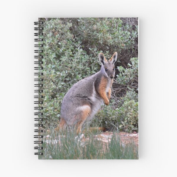 Item preview, Yellow Footed Rock Wallaby designed and sold by lhowden.
