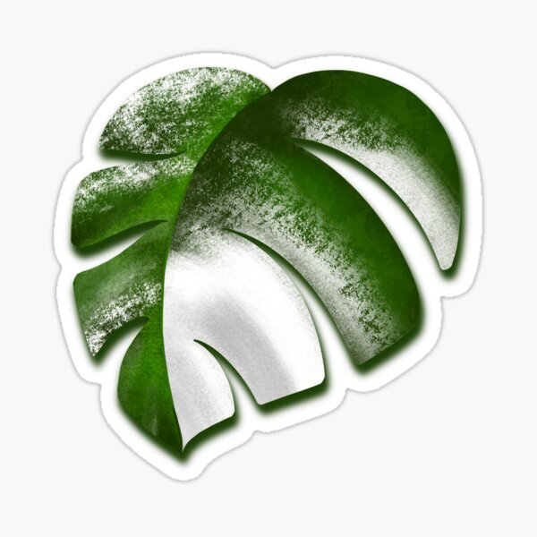 Vista previa del artículo con la obra «Hoja de Monstera Albo», diseñado y vendido por RitaLaiArt.
