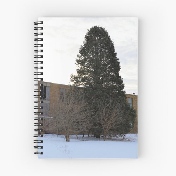 Item preview, Popejoy School designed and sold by LynyrdSky.
