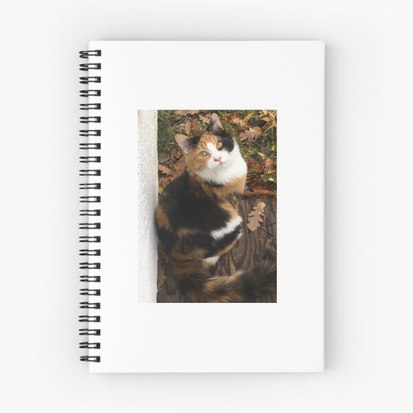 Item preview, Calico 2 designed and sold by TM Art.