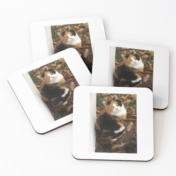 Item preview, Calico 2 designed and sold by TmartUS.