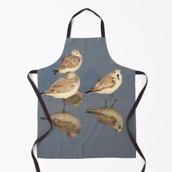 Item preview, Sanderling Snooze designed and sold by Autumn Seas Photography.