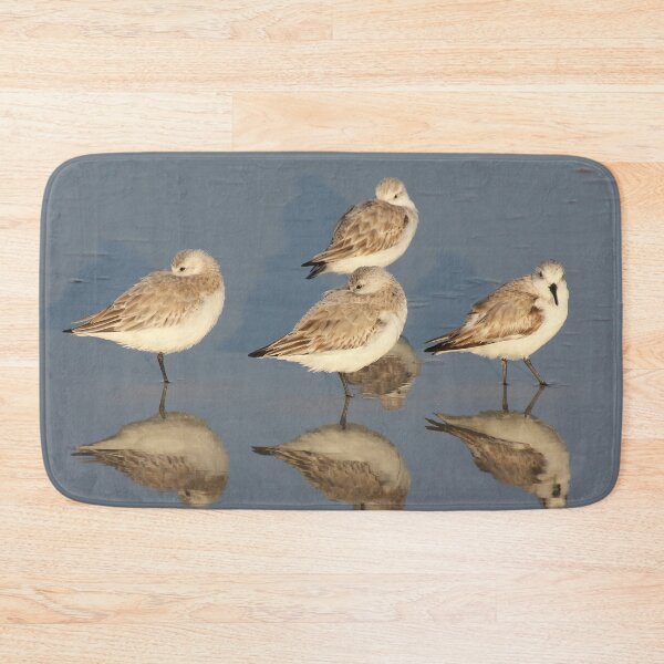 Item preview, Sanderling Snooze designed and sold by Autumn Seas Photography.