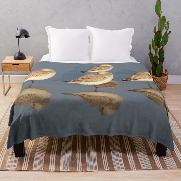 Item preview, Sanderling Snooze designed and sold by Autumn Seas Photography.