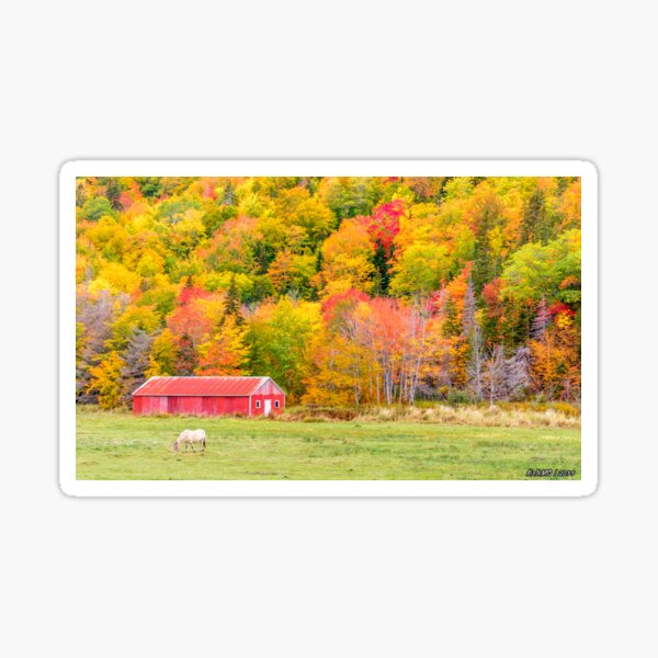 Item preview, Autumn Colors Near Lake Ainslie  designed and sold by kenmo.
