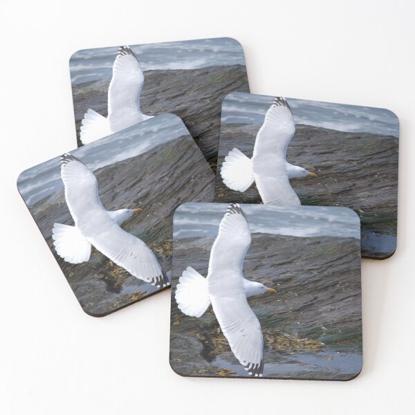 Item preview, Seagull flying high designed and sold by Epiphany27Photo.