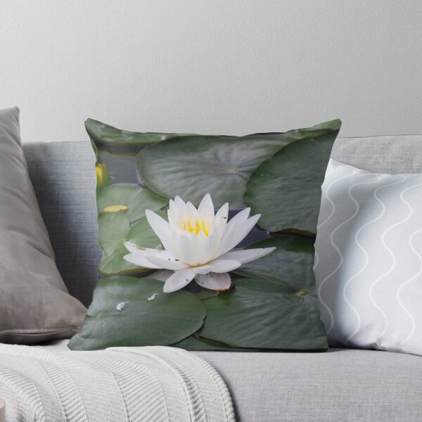 Item preview, Blooming lily amid lilypads designed and sold by Epiphany27Photo.