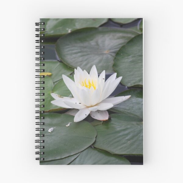 Item preview, Blooming lily amid lilypads designed and sold by Epiphany27Photo.