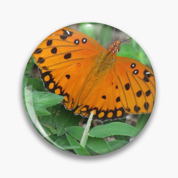 Item preview, Gulf Fritillary Butterfly designed and sold by abacoian.