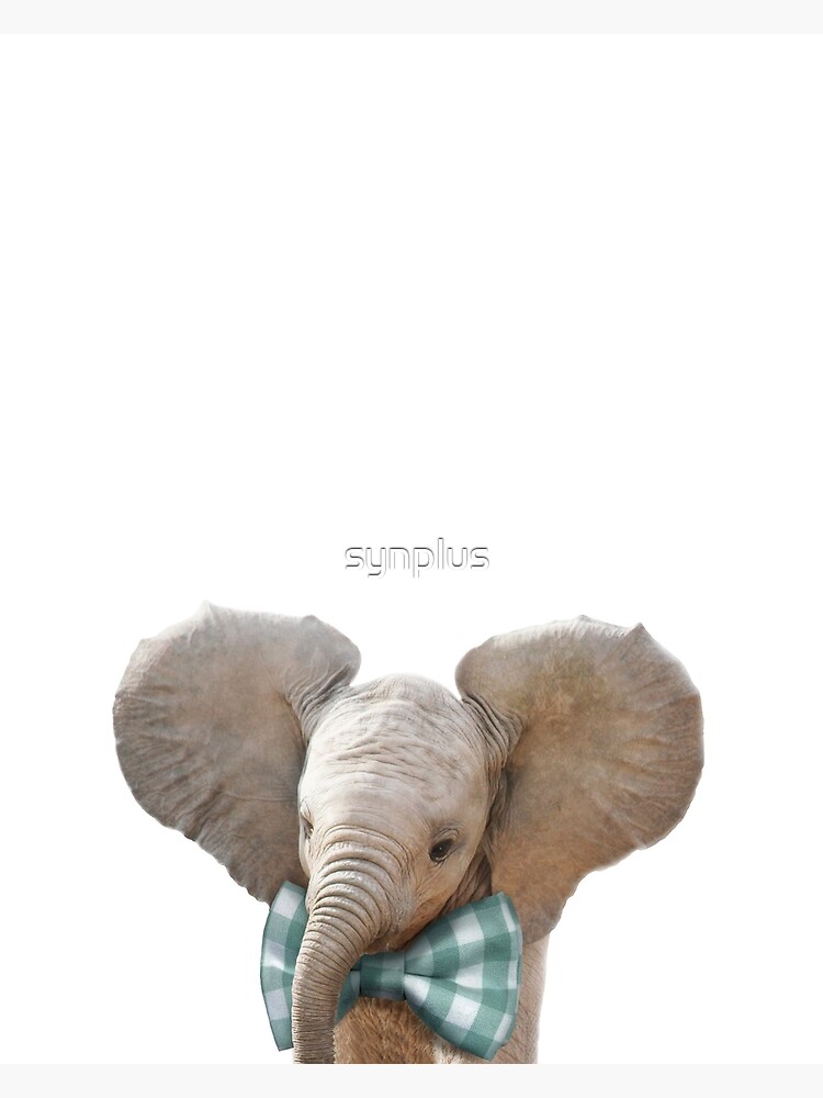 elephant with bow tie
