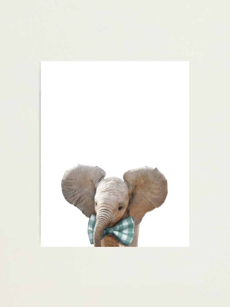elephant with bow tie