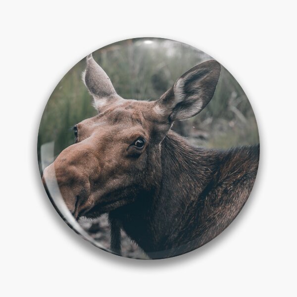 Item preview, A Moose in his Prime designed and sold by JDWarren.