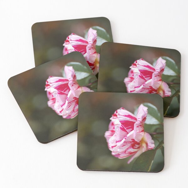 Item preview, Lush Scentimental Pink Rose Flower designed and sold by Joy Watson - Natural Light Photography .