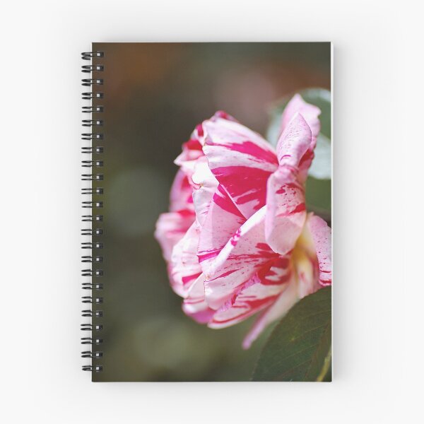 Item preview, Lush Scentimental Pink Rose Flower designed and sold by Joy Watson - Natural Light Photography .