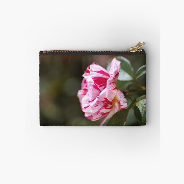 Item preview, Lush Scentimental Pink Rose Flower designed and sold by Joy Watson - Natural Light Photography .