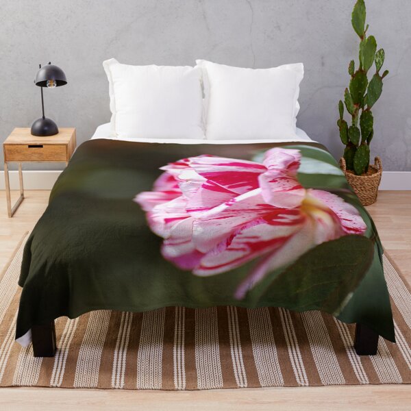 Item preview, Lush Scentimental Pink Rose Flower designed and sold by Joy Watson - Natural Light Photography .
