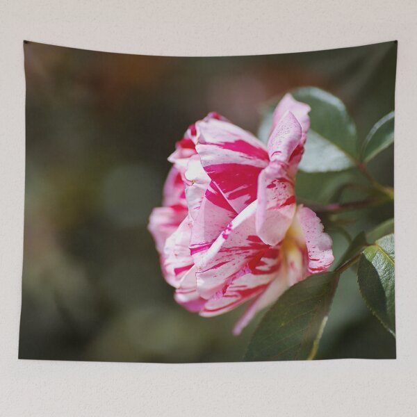 Item preview, Lush Scentimental Pink Rose Flower designed and sold by Joy Watson - Natural Light Photography .