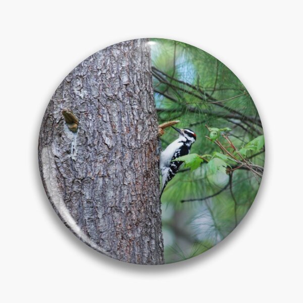Artikelvorschau, Pileated Specht entworfen und verkauft von Epiphany27Photo.